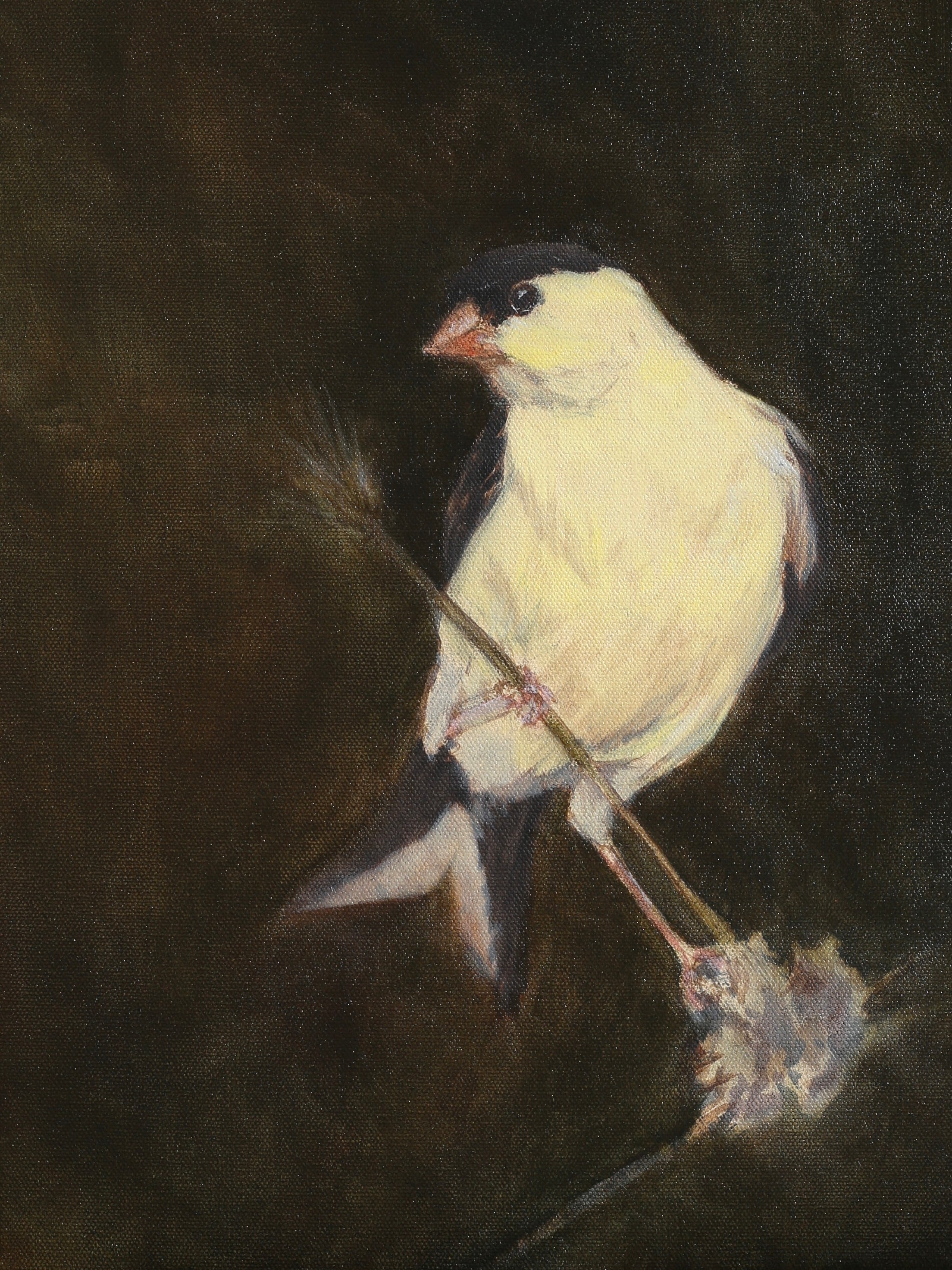 Guardian, 16x12
