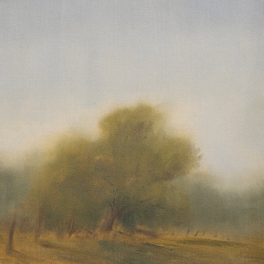 Summer Afternoon, 12x12"