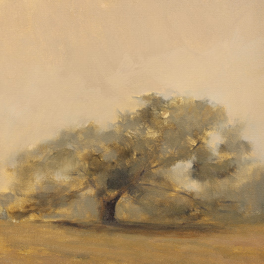 Old Oak, 12x12"
